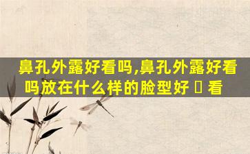 鼻孔外露好看吗,鼻孔外露好看吗放在什么样的脸型好 ☘ 看